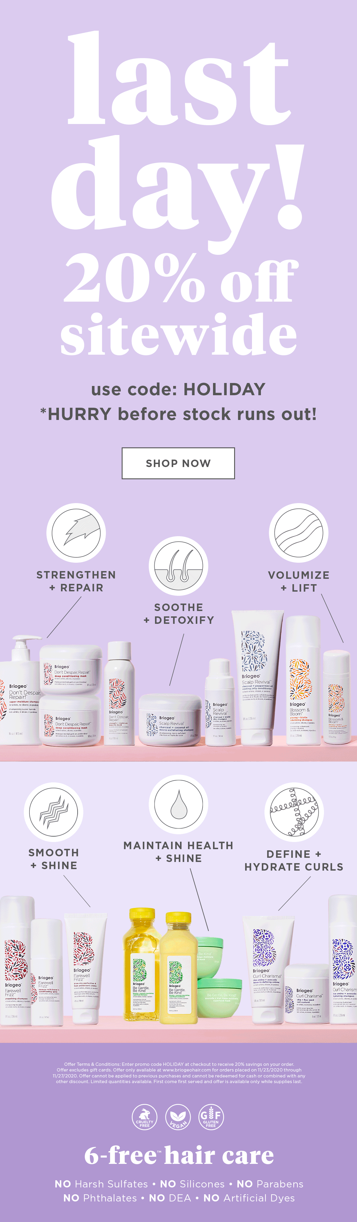 Last Day Sale Email